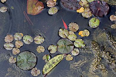 《深夜拉面》7月登陆Steam 哲理系叙事对话游戏